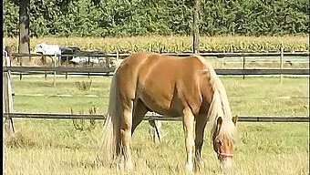 Une Fille De Ferme Aux Courbes Généreuses Profite Du Plaisir En Solo En Plein Air Dans Les Bois