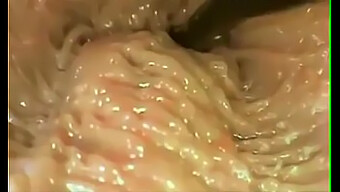 Penetração Vaginal Em Um Filme Pornô Não Profissional